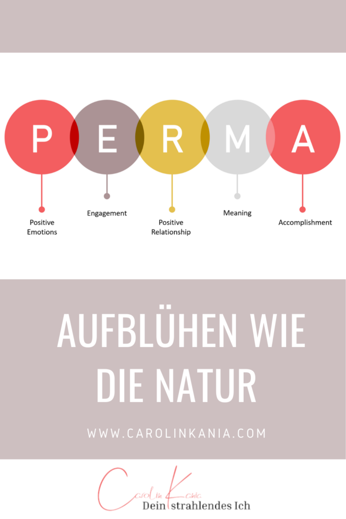 PERMA | Aufblühen wie die Natur | Positive Psychologie | Formel für ein gutes Leben