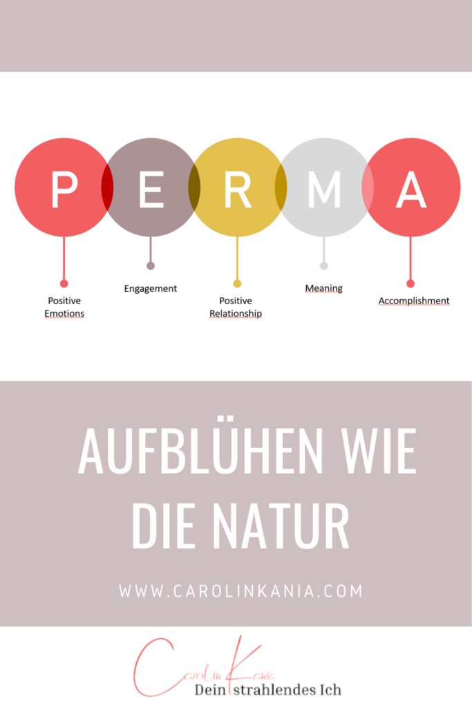 PERMA - aufblühen wie die Natur | Positive Psychologie | Carolin Kania